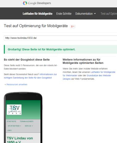 Ergebnis Google Mobile Friendliness-Test