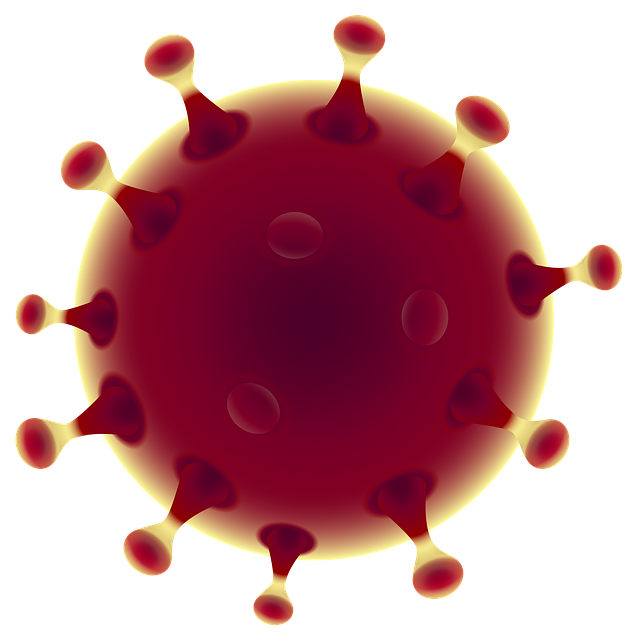 Bild von Vektor Kunst auf Pixabay 